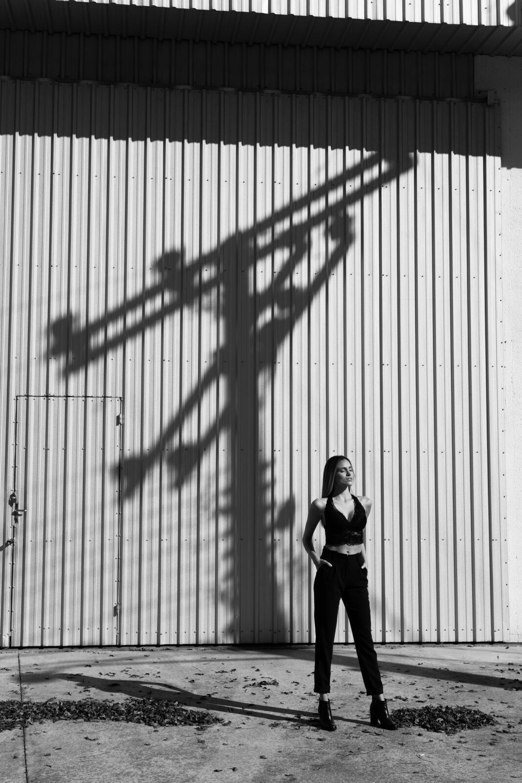 Foto Winter Shadows Foto Winter Shadows - Imagem 9